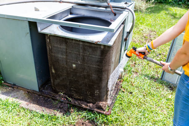 Best Air Duct Sanitizing Services  in Black Point Green Point, CA