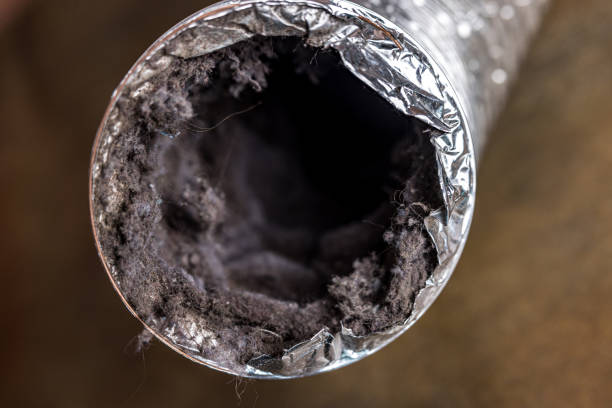 Best Professional Duct Cleaning Services  in Black Point Green Point, CA