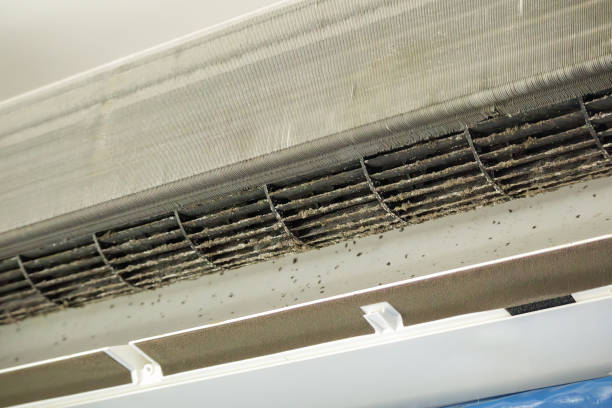 Best Air Vent Cleaning Services  in Black Point Green Point, CA