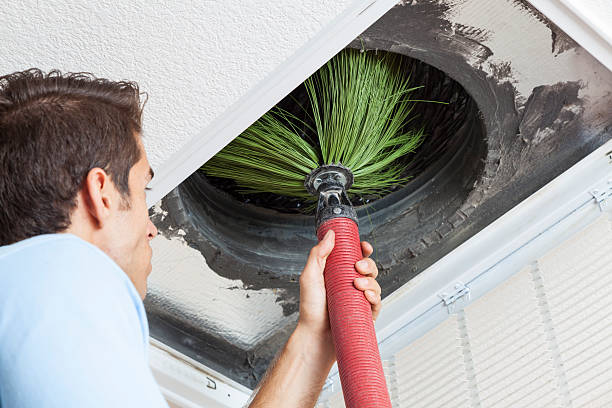 Best HVAC Air Duct Cleaning  in Black Point Green Point, CA